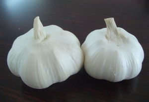 чеснок сноу вайт