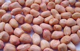 Прайс-лист-на-арахис-из-Индии.