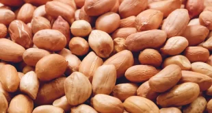 Прайс-на-бразильский-арахис