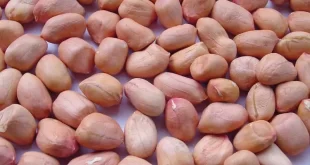 Прайс-лист-на-индийский-арахис-оптом.