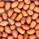 Предложение-по-кунжуту-и-арахису-от-индийского-поставщика-от-5-февраля-2020