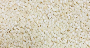 Цены-на-кунжут-оптом-от-22-января-2020