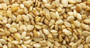 Кунжут-контейнерными-партиями.