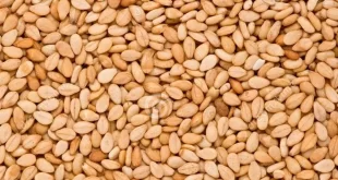 Прайс-лист-на-индийский-кунжут-Прейскурант-от-1-сентября-2023.