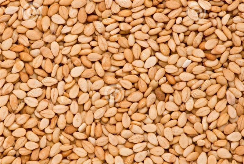 Цены-на-кунжут-оптом-из-Индии-Прайс-от-18-мая-2023.