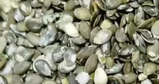 Прайс-на-семечку-тыквы-от-6-мая-2023