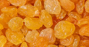 Цены-на-индийский-изюм-от-18-мая-2023