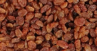 Изюм-из-Индии.-Прайс-лист-от-28-апреля-2023