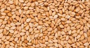 Прайс-лист-на-индийский-кунжут.-Прейскурант-от-4-августа-2024