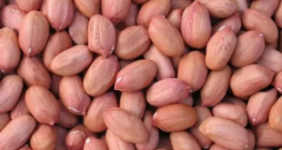 Прайс-лист-на-арахис-индийского-производства-от-14-октября-2024