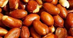 Цены-на-бразильский-арахис.-Декабрь-2024