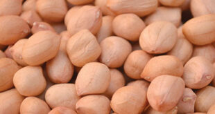 Прайс-лист-на-арахис-индийского-производства-от-8-ноября-2024