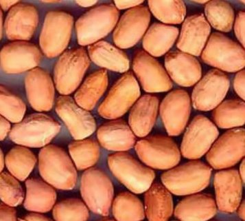 Прайс-лист-на-индийский-арахис-от-15-октября-2024