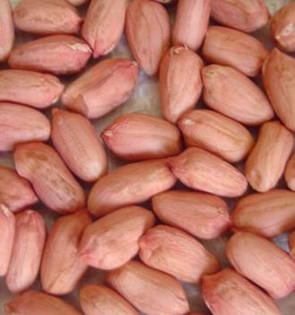 Прайс-на-арахис-из-Китая.-Январь-2025