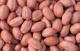 Аргентинский-арахис-оптом-от-экспортёра