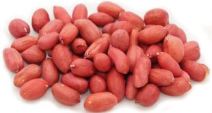 Узбекский-арахис-оптом-от-поставщика