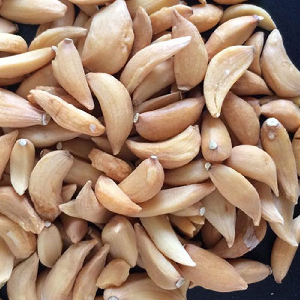 Сушеные-овощи-оптом