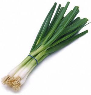 Fresh Green Onion