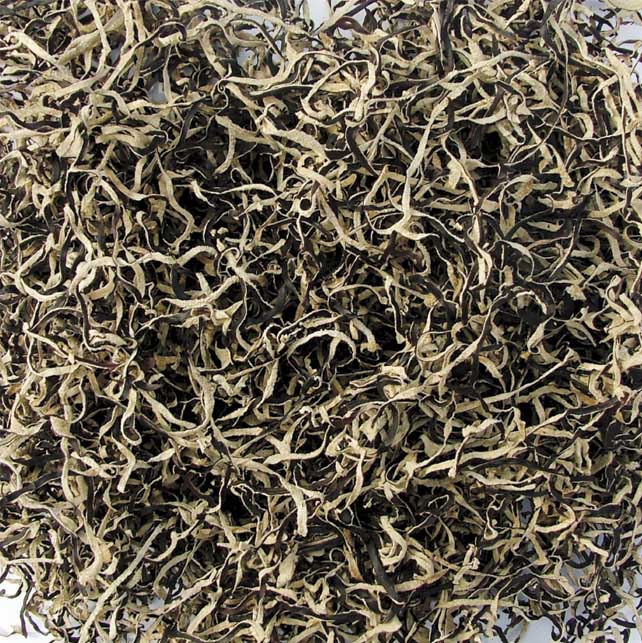 Strip Black White Fungus