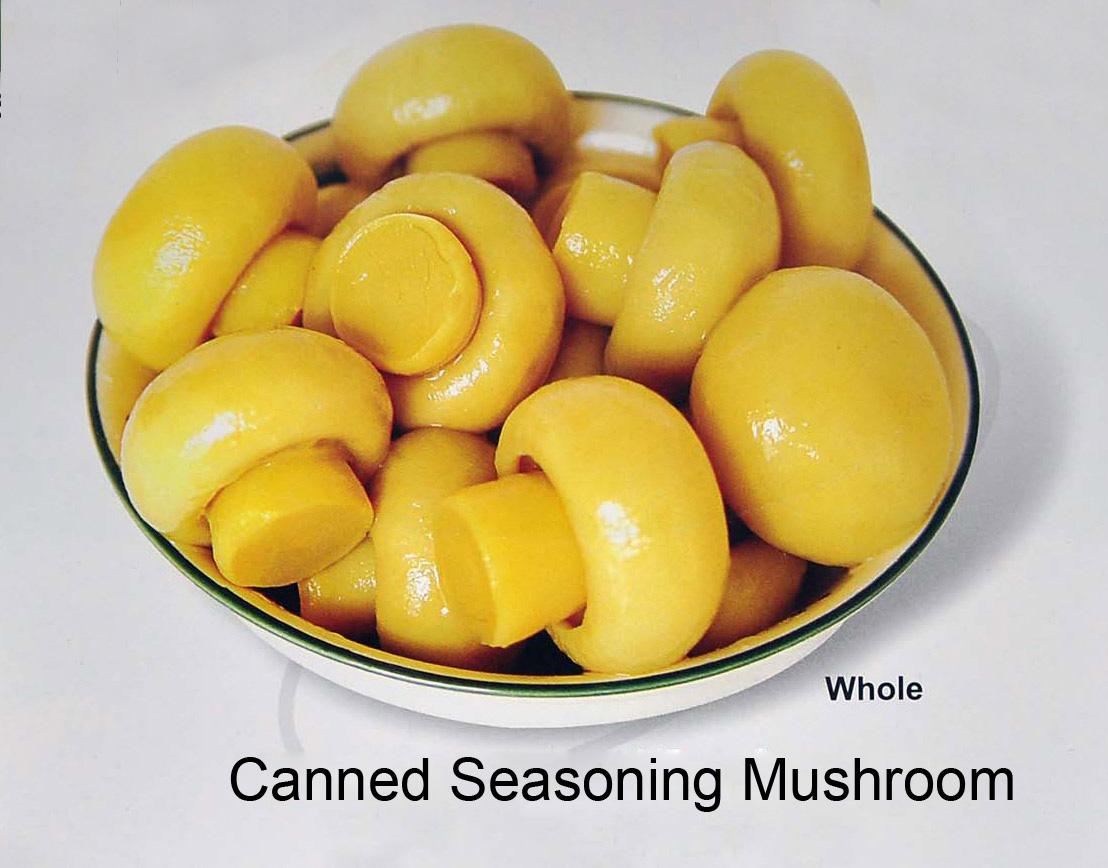 Canned Seasoning Mushroom