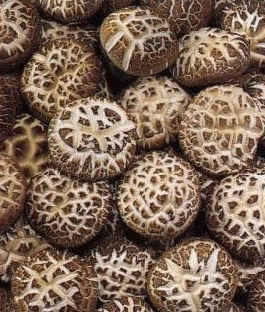 Dried edible mushroom